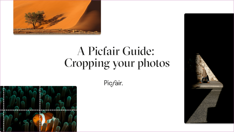 5 Tips For Cropping Your Photos A Picfair Guide Picfair Blog 5 Tips For Cropping Your Photos A Picfair Guide Picfair Blog