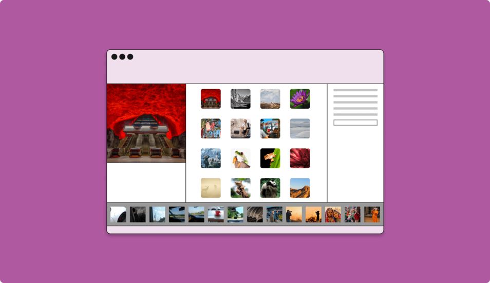 5 Top Tips for Organising your Photos A Picfair Guide Picfair Blog