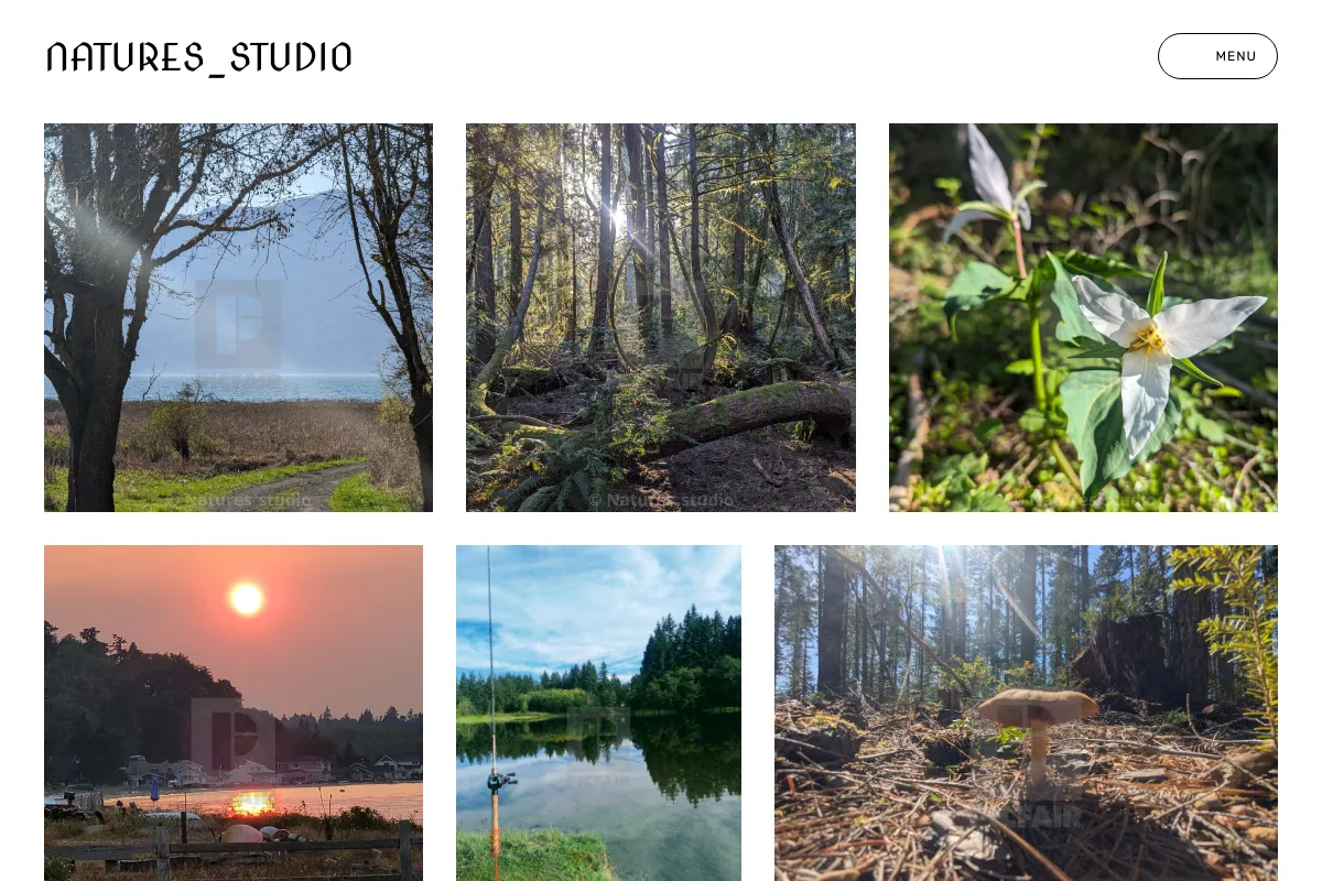 Natures_studio