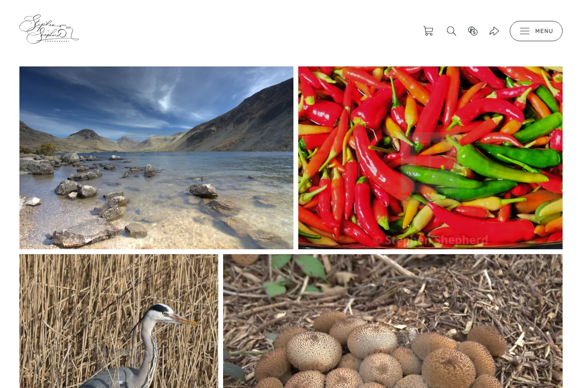 Images by Stephen shepherd 