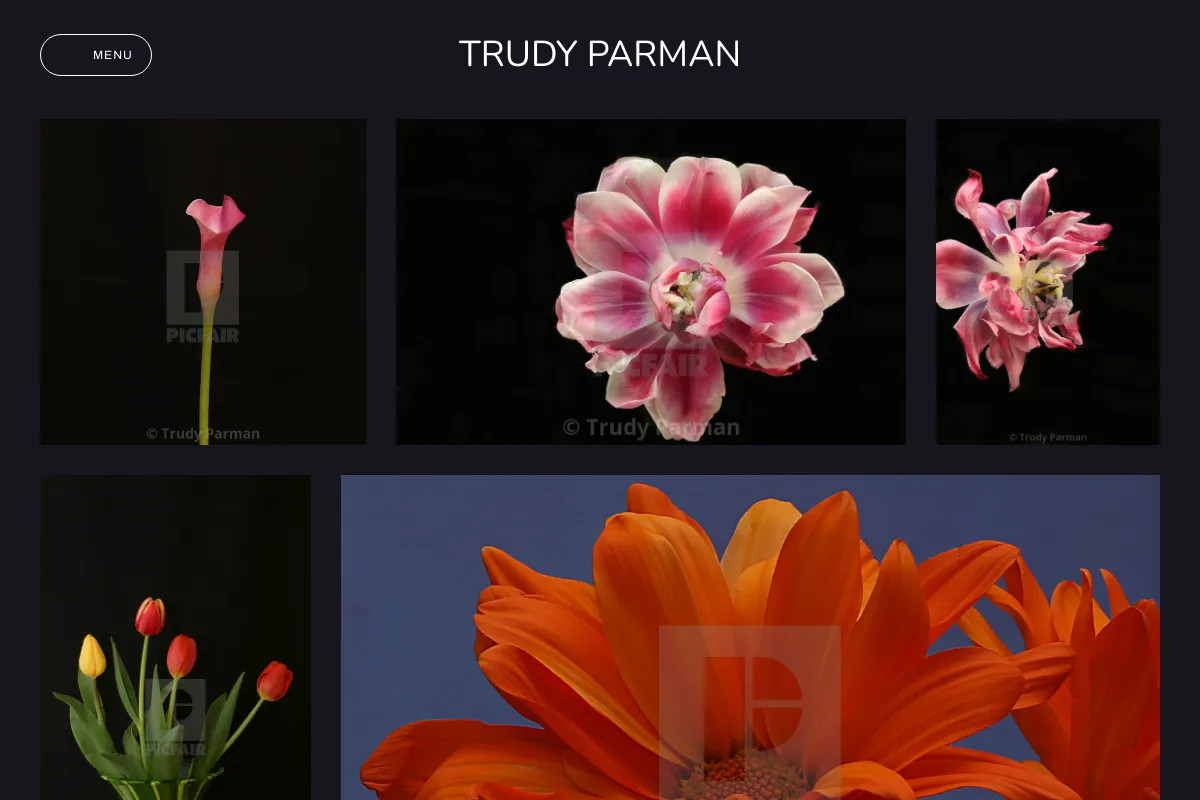 Trudy Parman