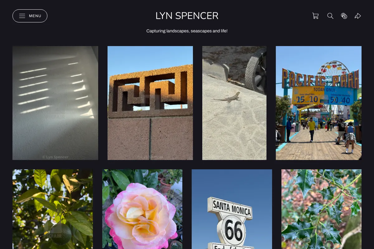 Lyn Spencer 