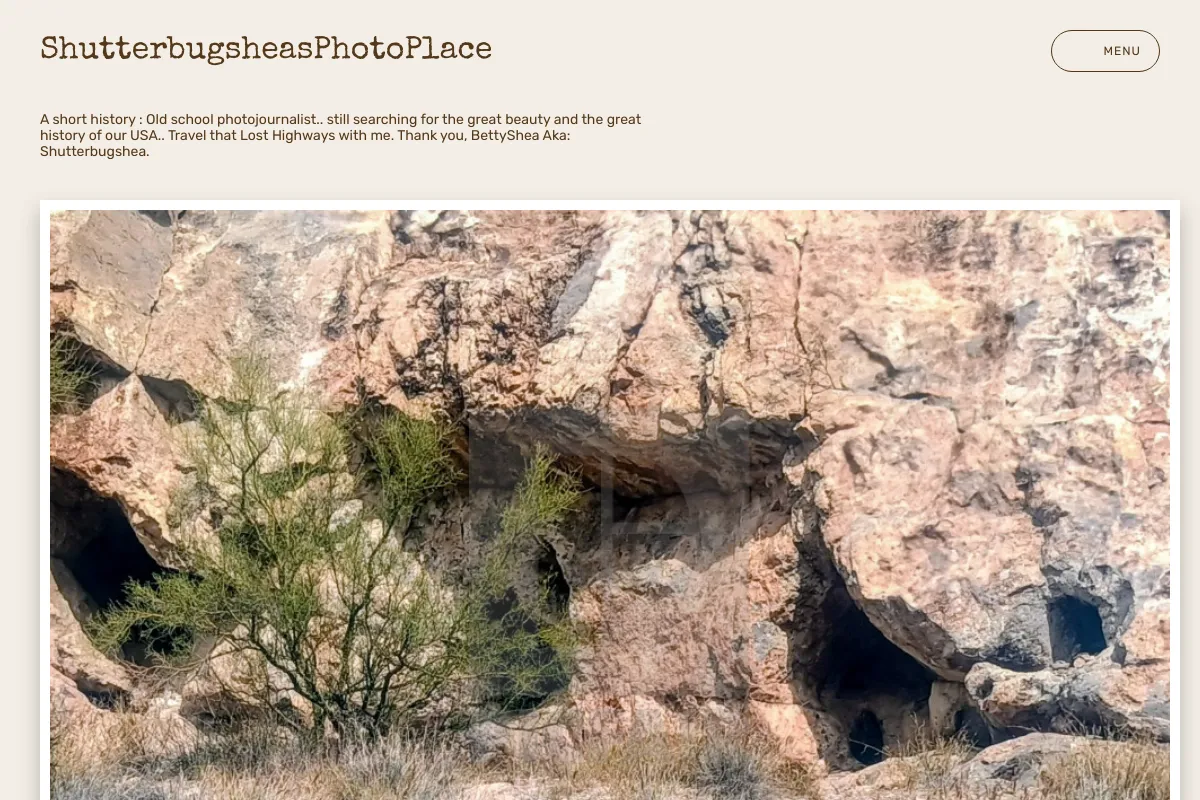 ShutterbugsheasPhotoPlace