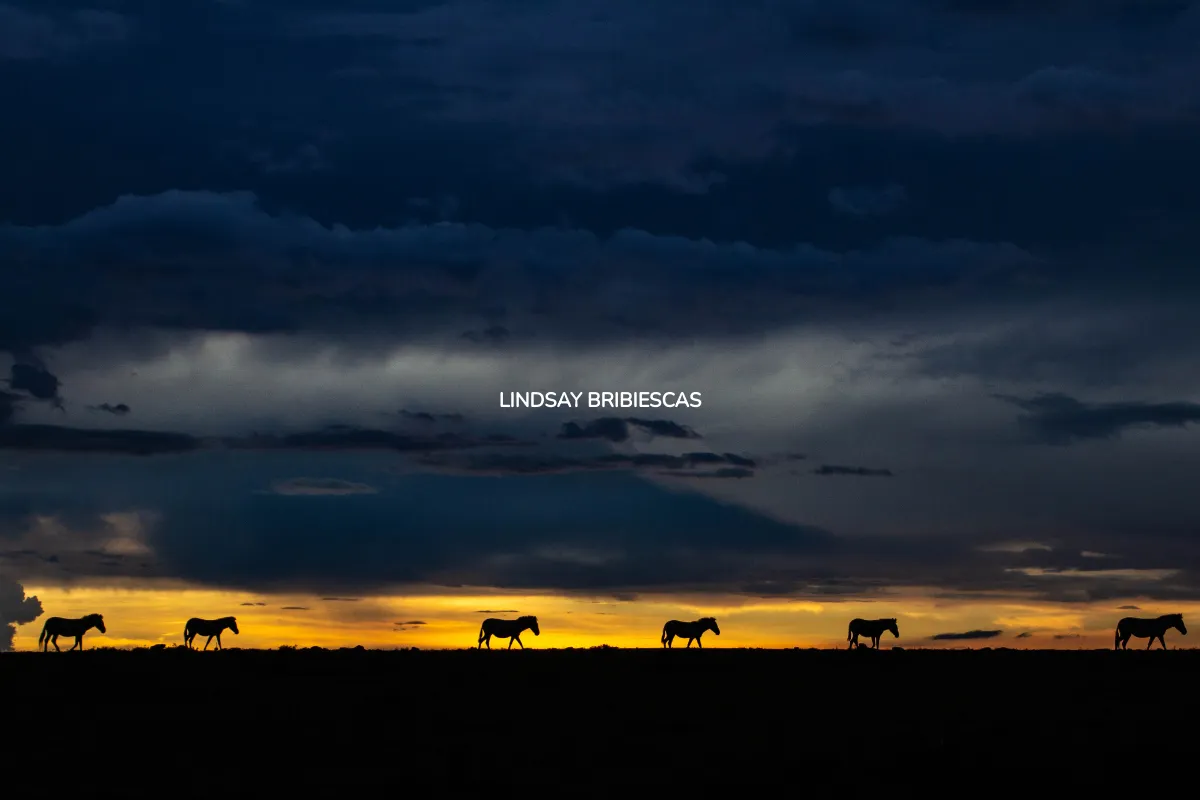 Lindsay Bribiescas