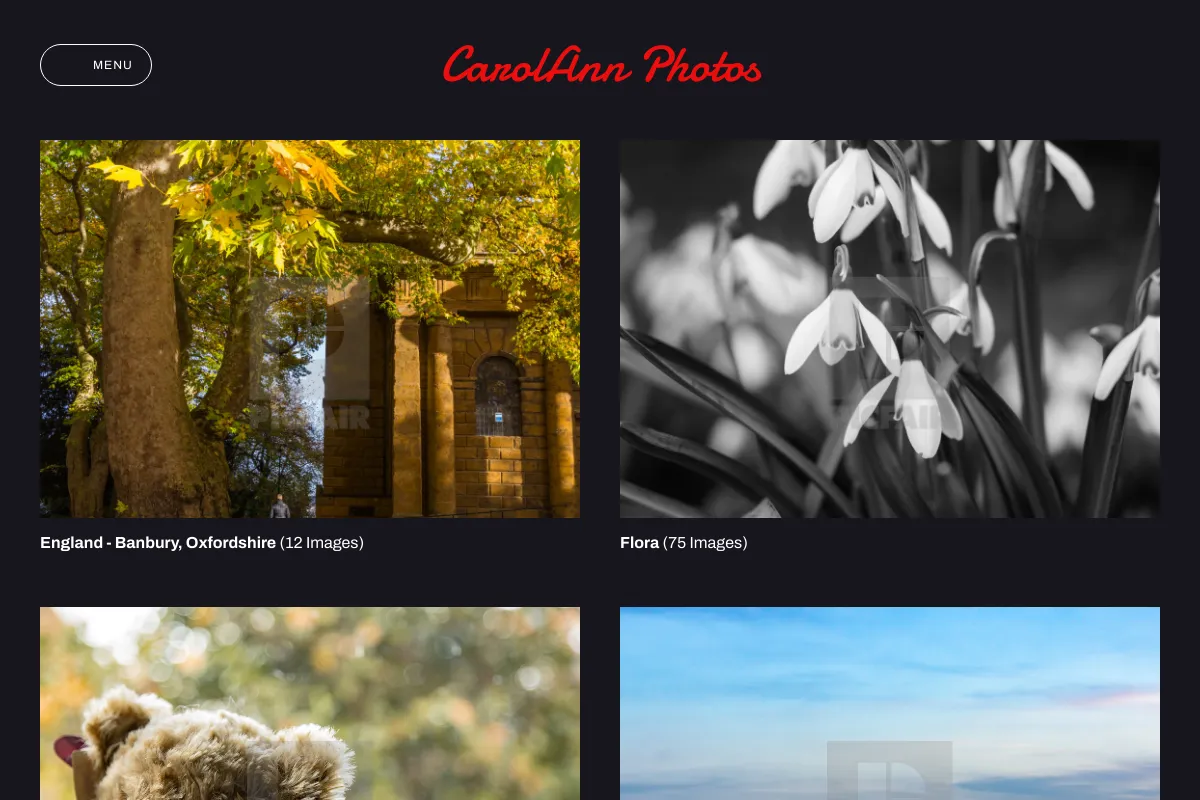 CarolAnn Photos