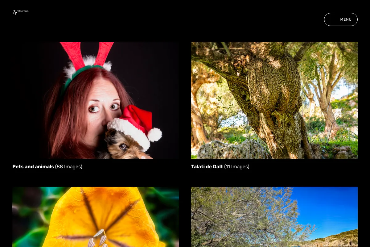 ZenPics