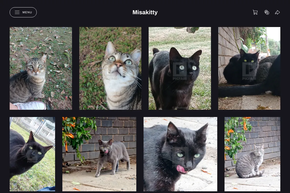Misakitty