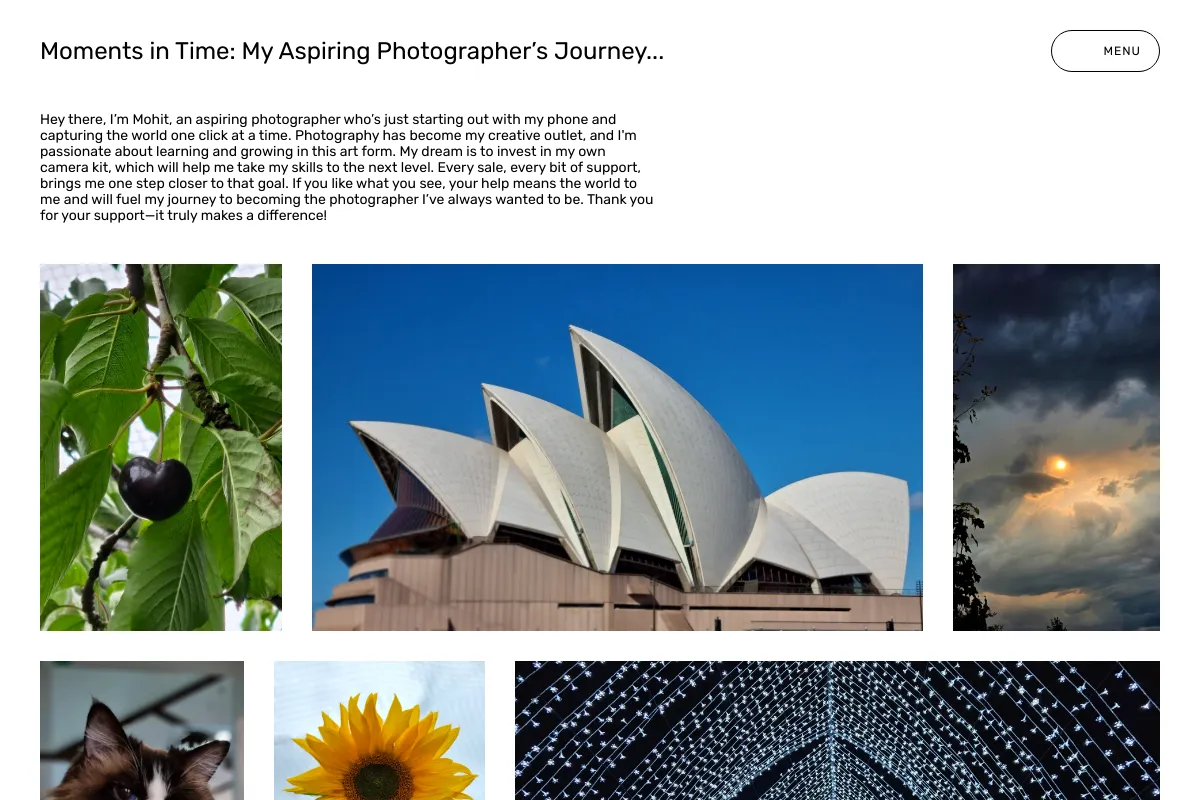 Moments in Time: My Aspiring Photographer’s Journey...