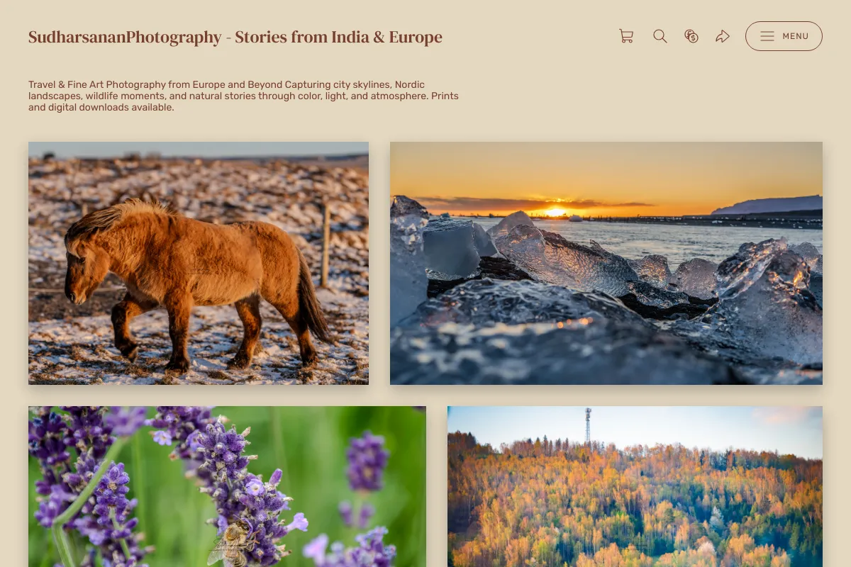 SudharsananPhotography - Stories from India & Europe