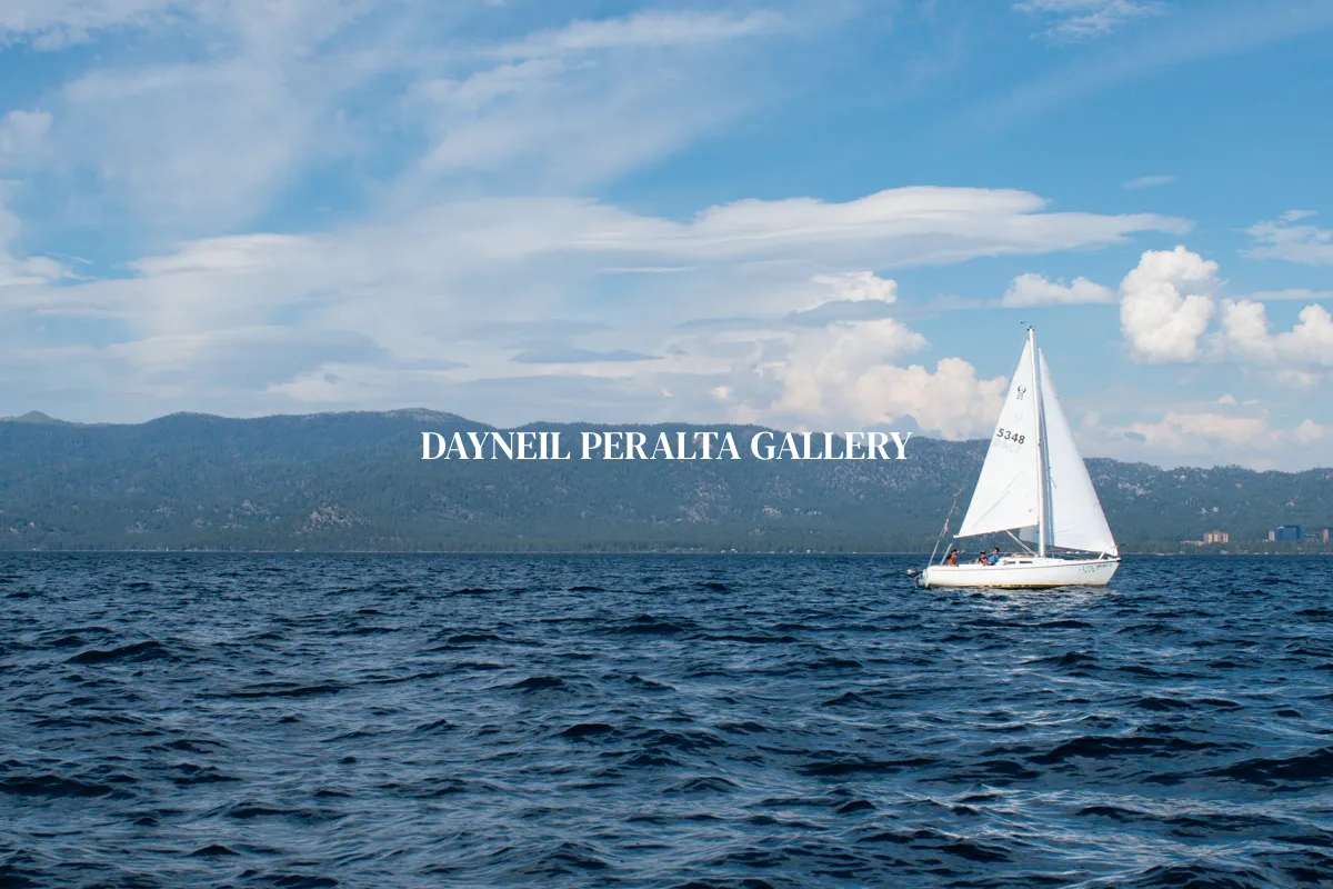 DAYNEIL PERALTA GALLERY