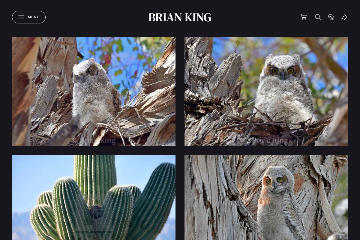 Brian King
