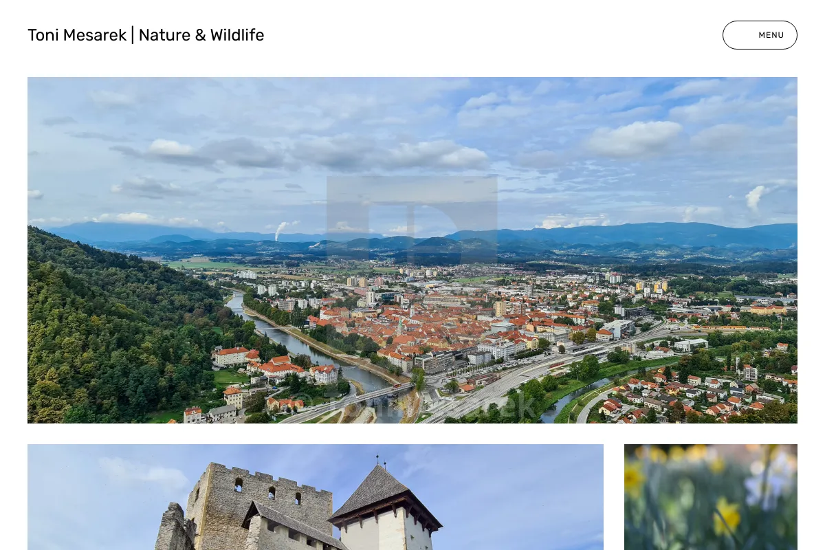 Toni Mesarek | Nature & Wildlife