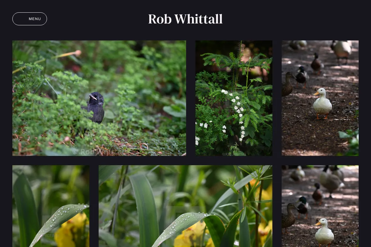 Rob Whittall