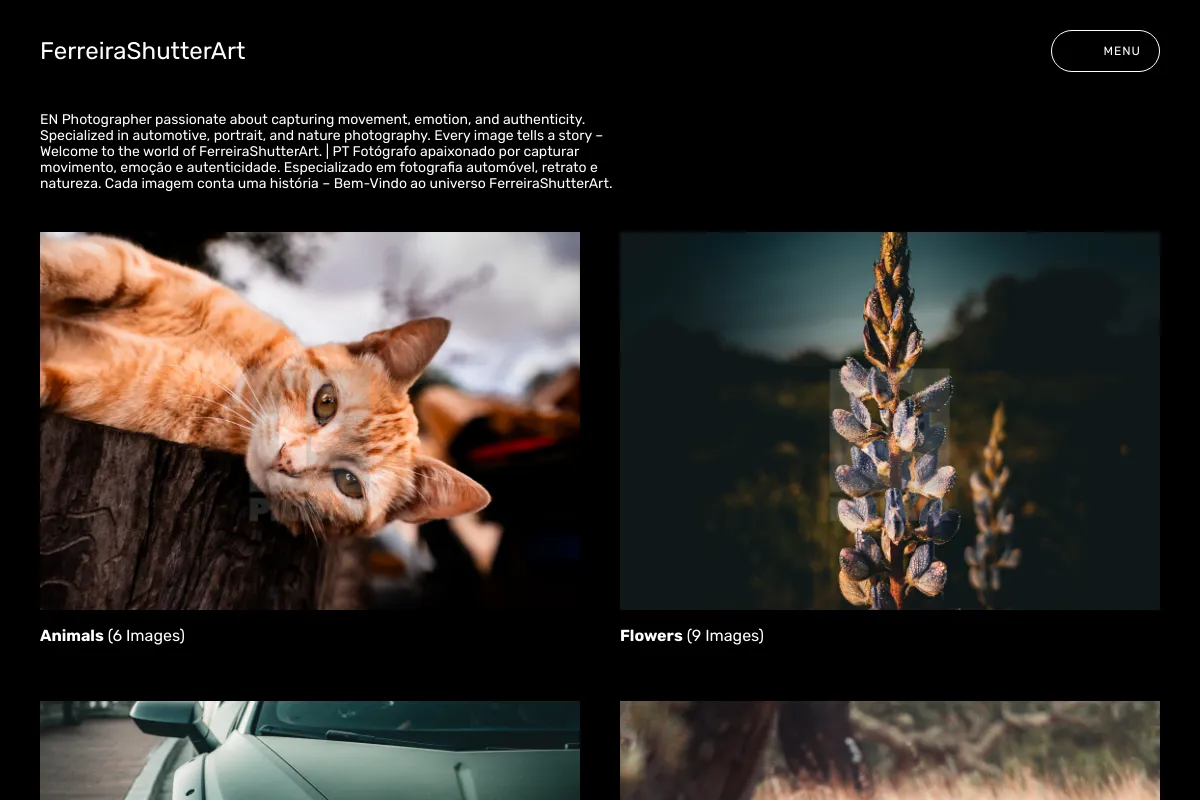 FerreiraShutterArt