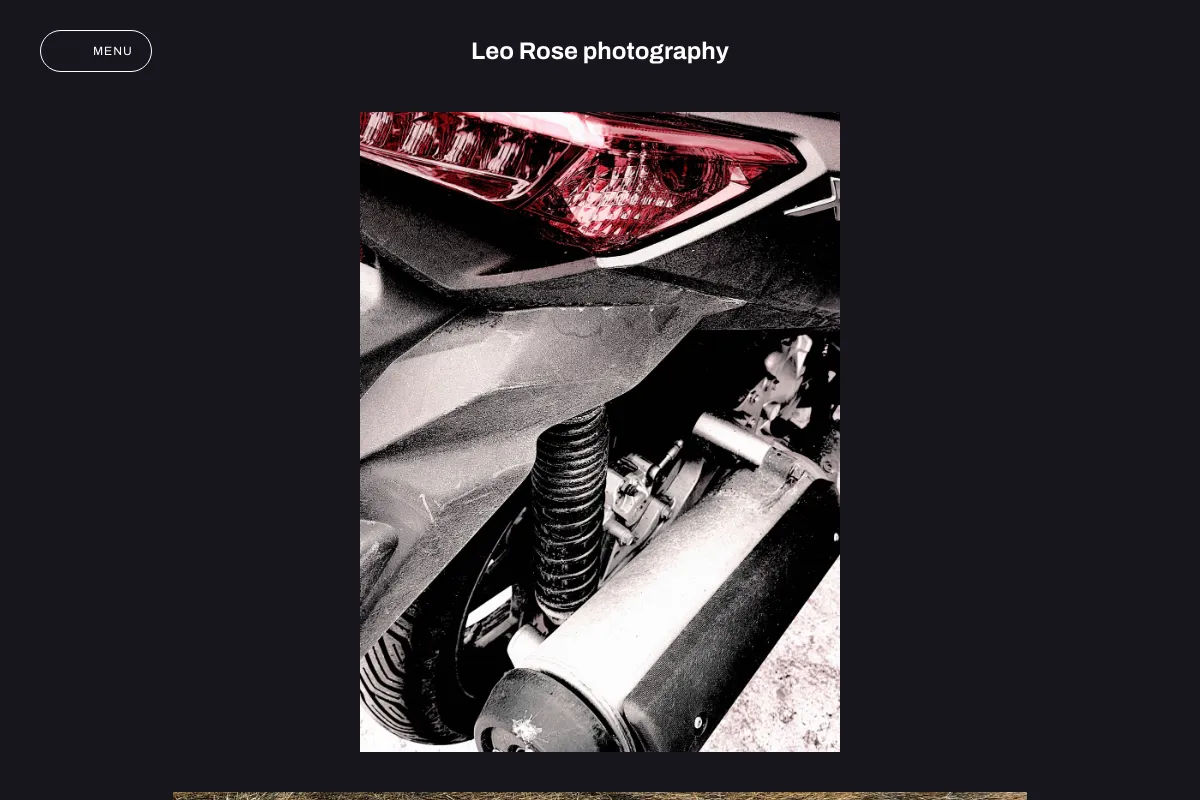Leo Rose photography 