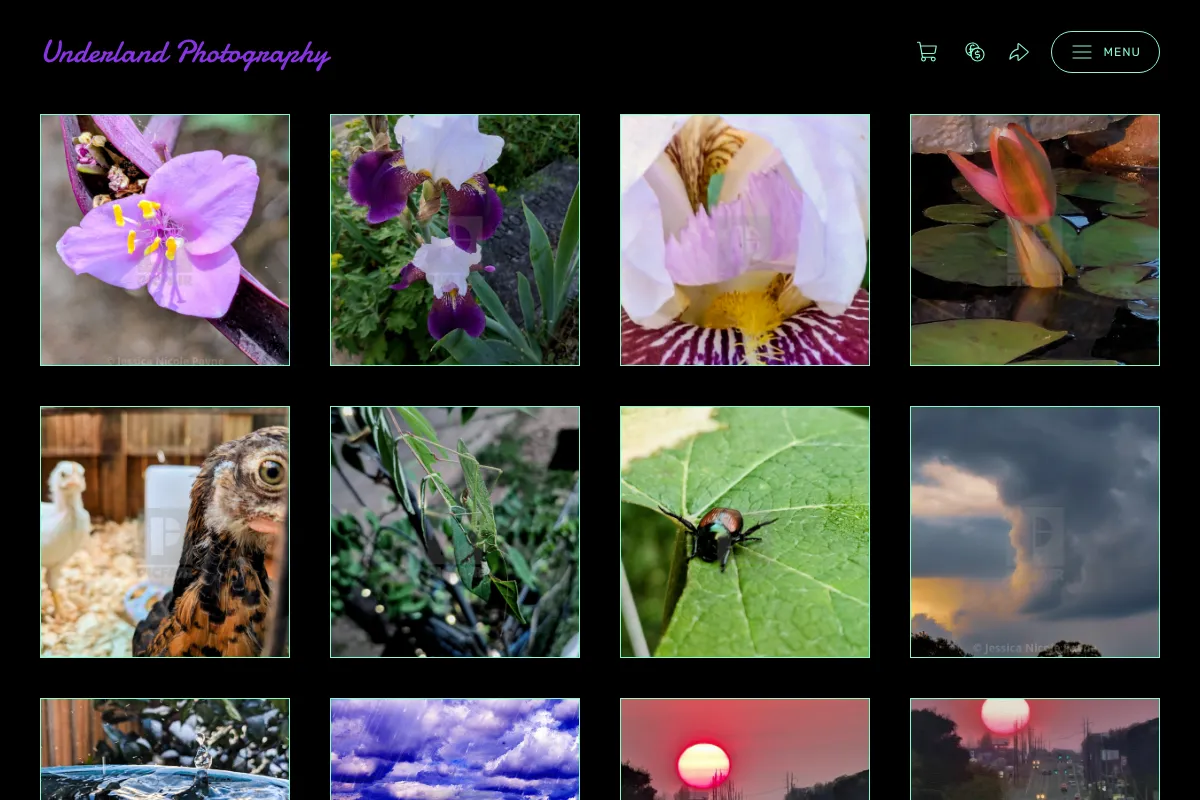 Underland Photography