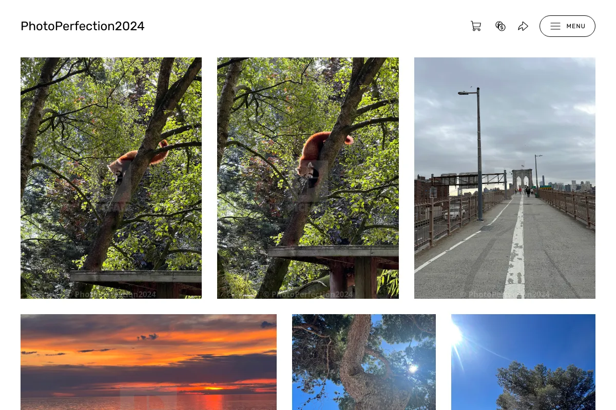 PhotoPerfection2024