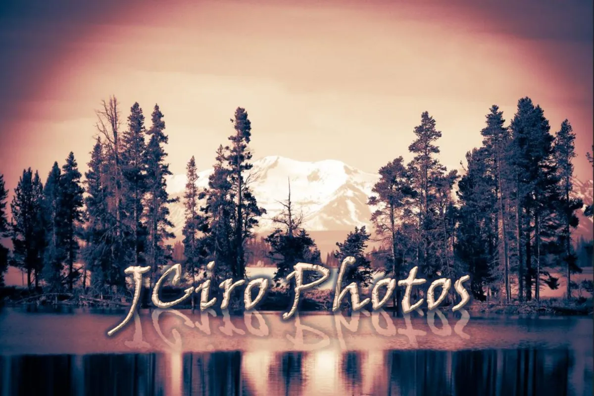 JCiro Photos