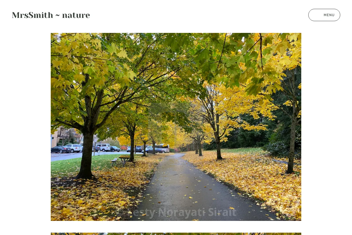 MrsSmith ~ nature