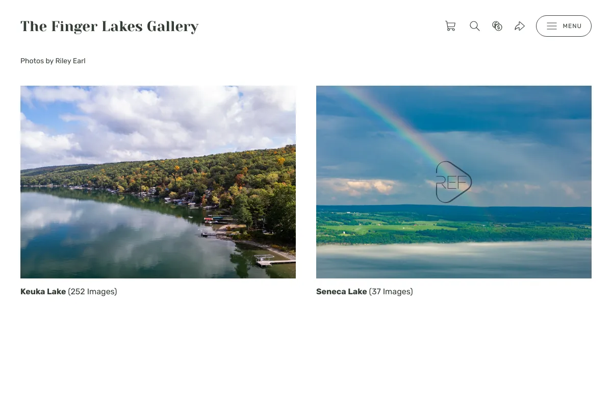 The Finger Lakes Gallery 