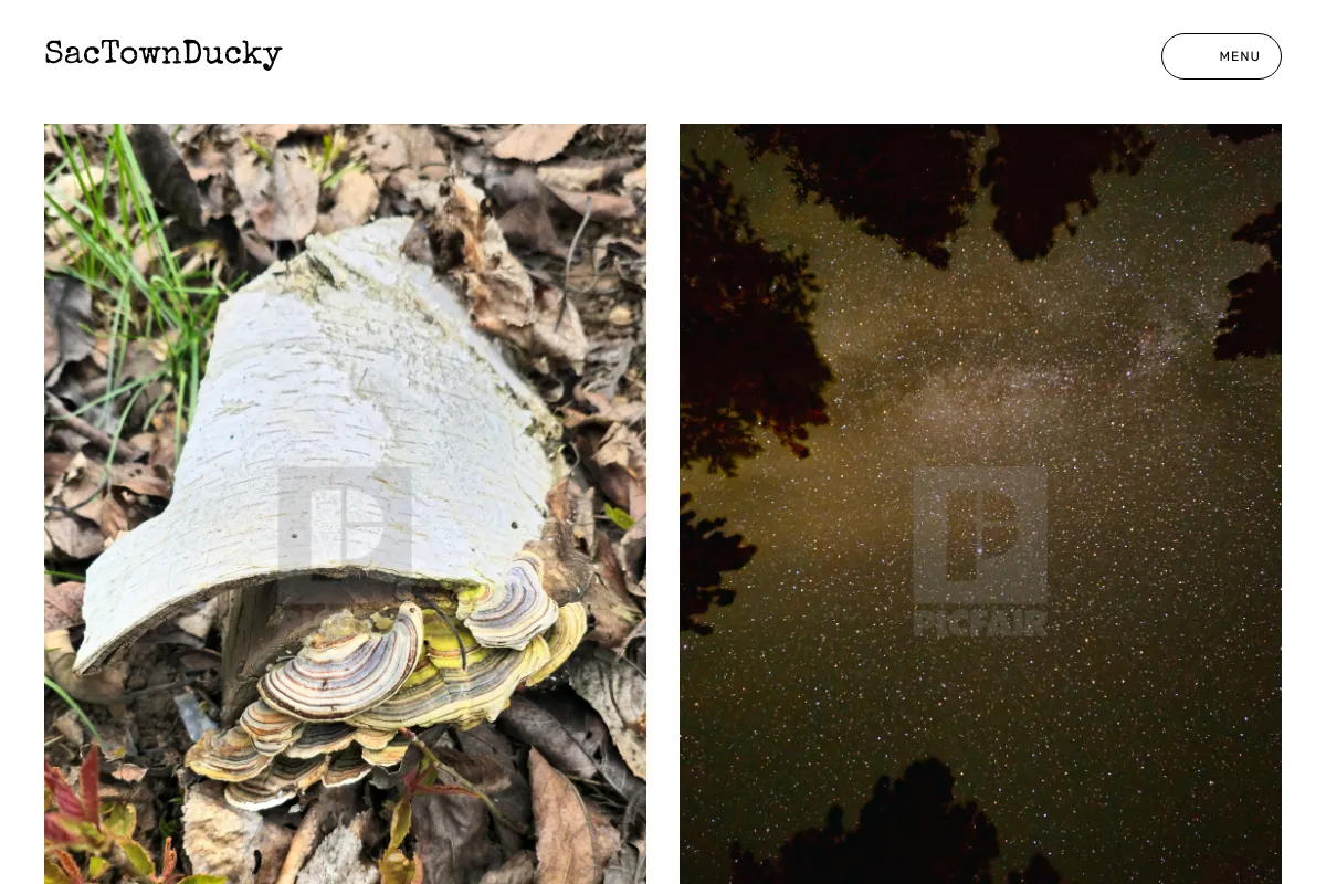 SacTownDucky