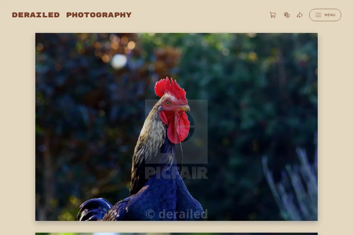 Derailed Photography