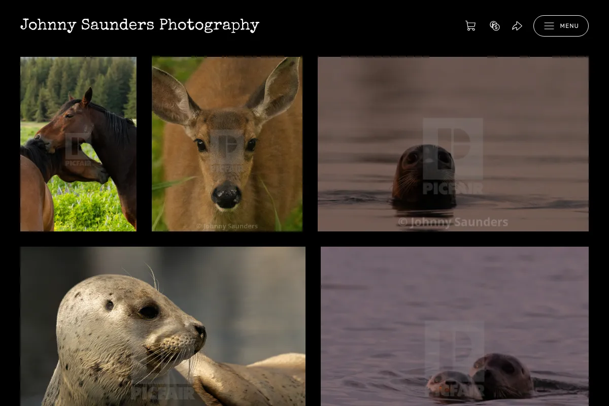 Johnny Saunders Photography 