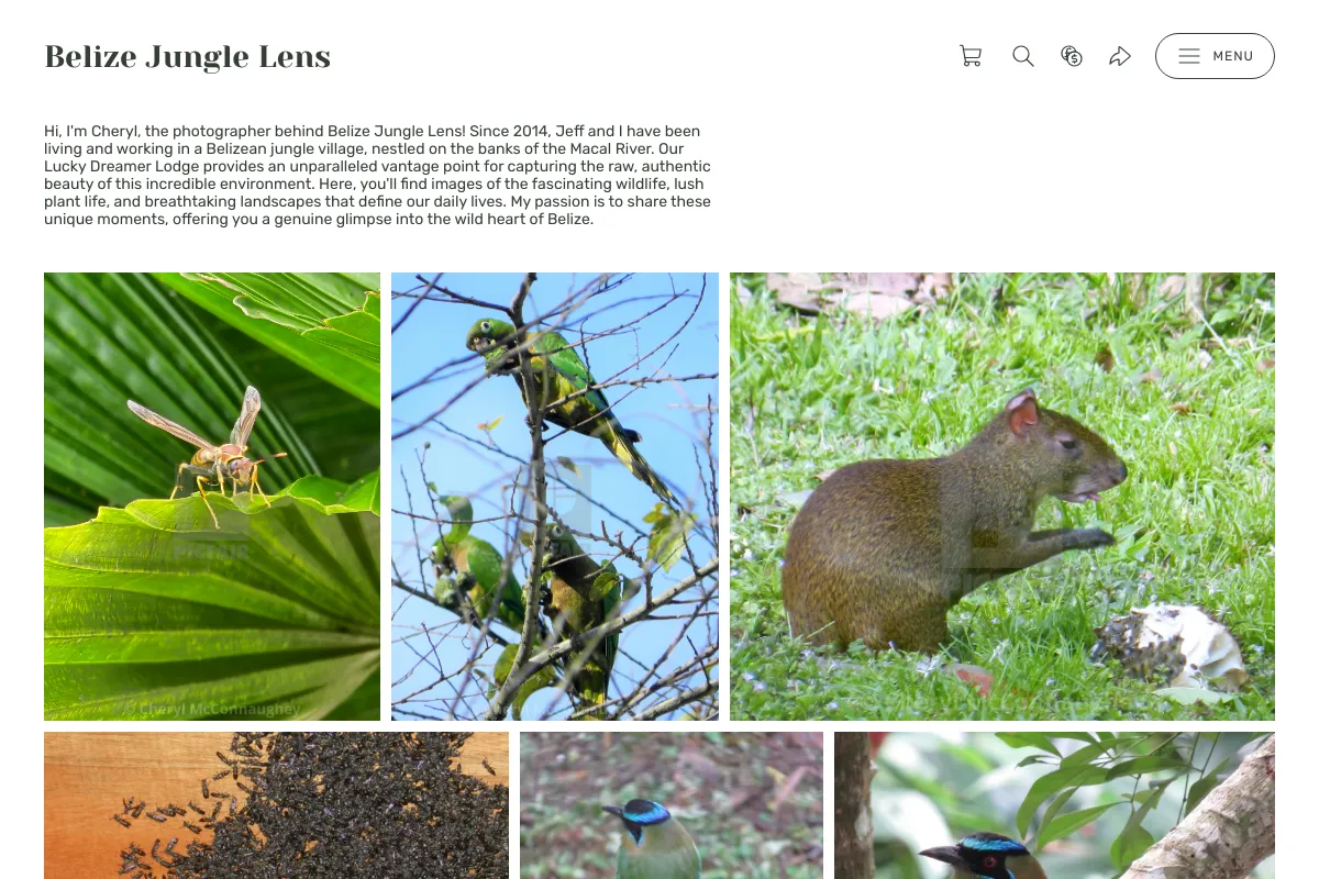 Belize Jungle Lens