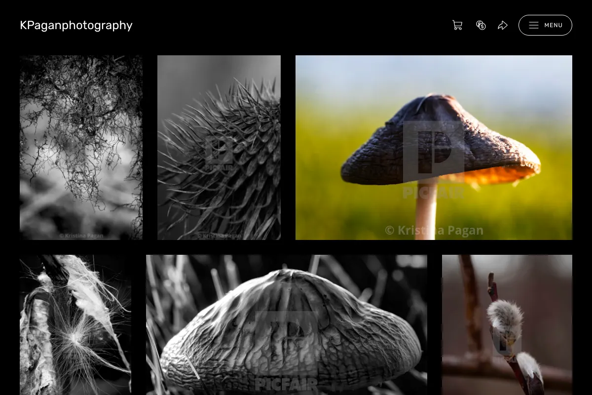 KPaganphotography