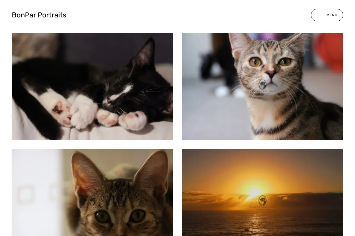 BonPar Portraits