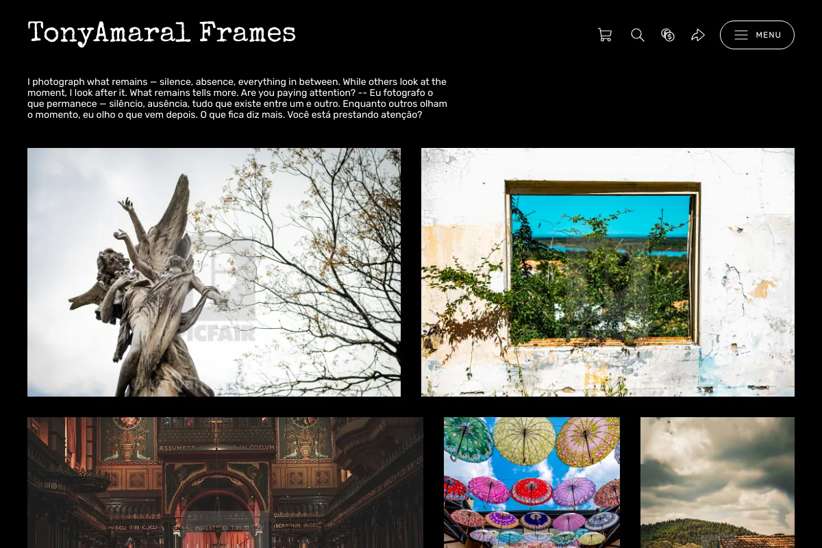 TonyAmaral Frames