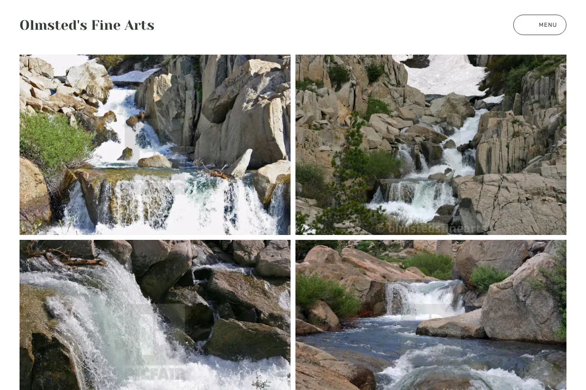 Olmsted's Fine Arts