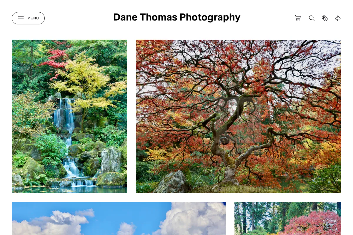 Dane Thomas Photography