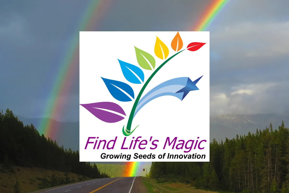 Find Life's Magic