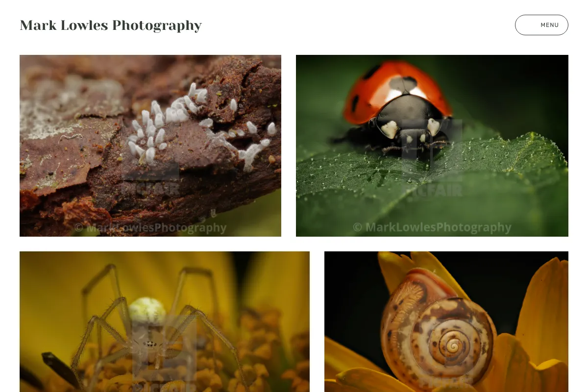 Mark Lowles Photography