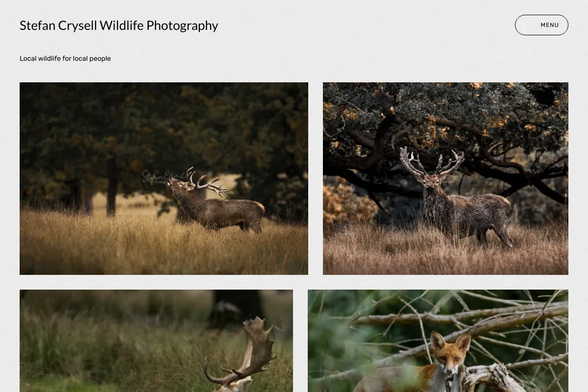 Stefan Crysell Wildlife Photography