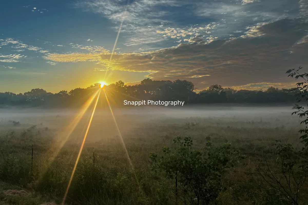 Snappit Photography