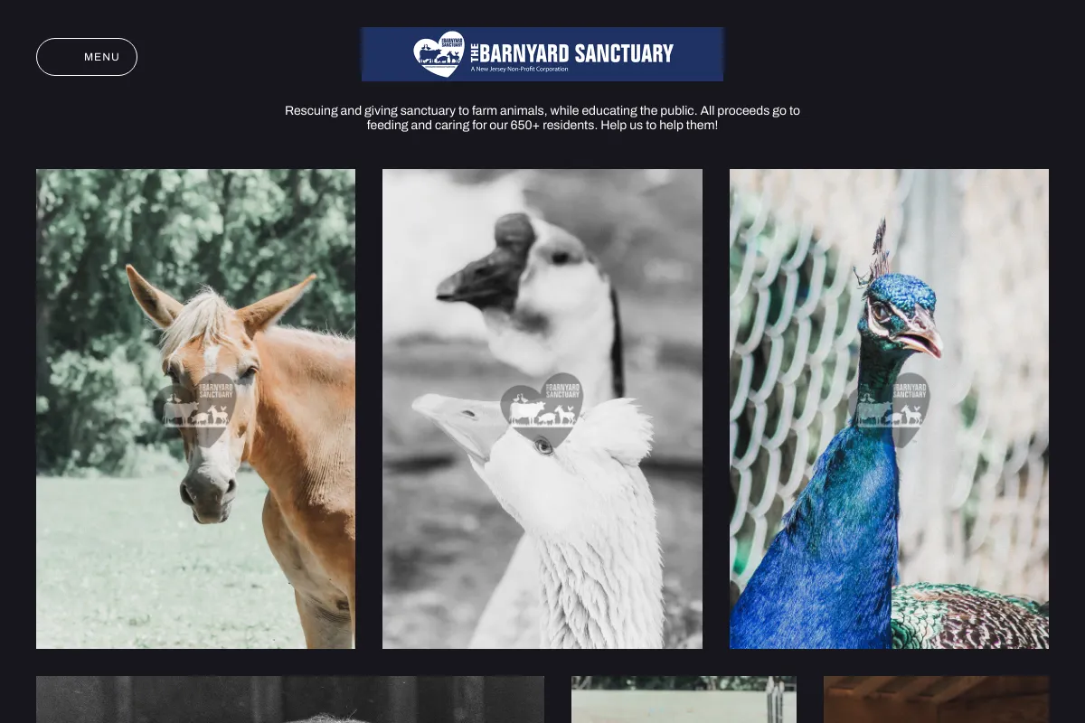 The Barnyard Sanctuary