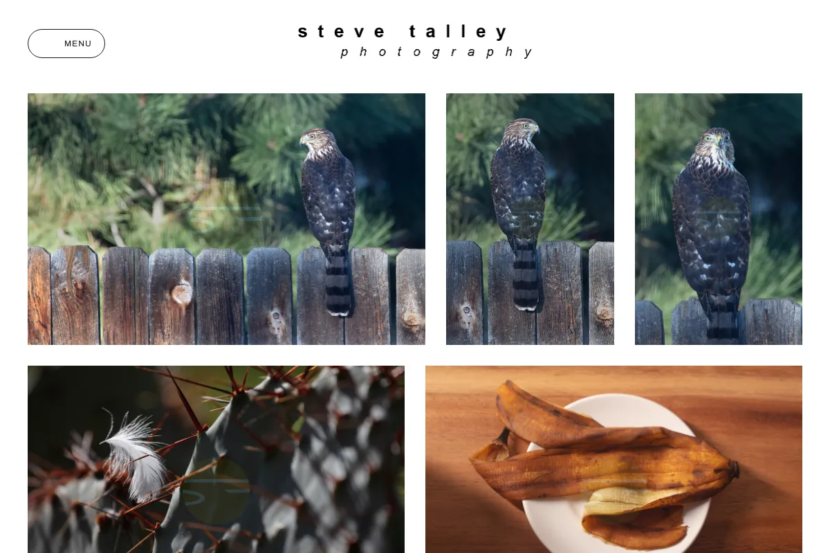 Steve Talley