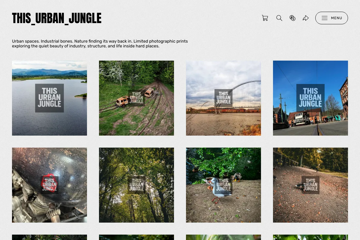 This_urban_jungle