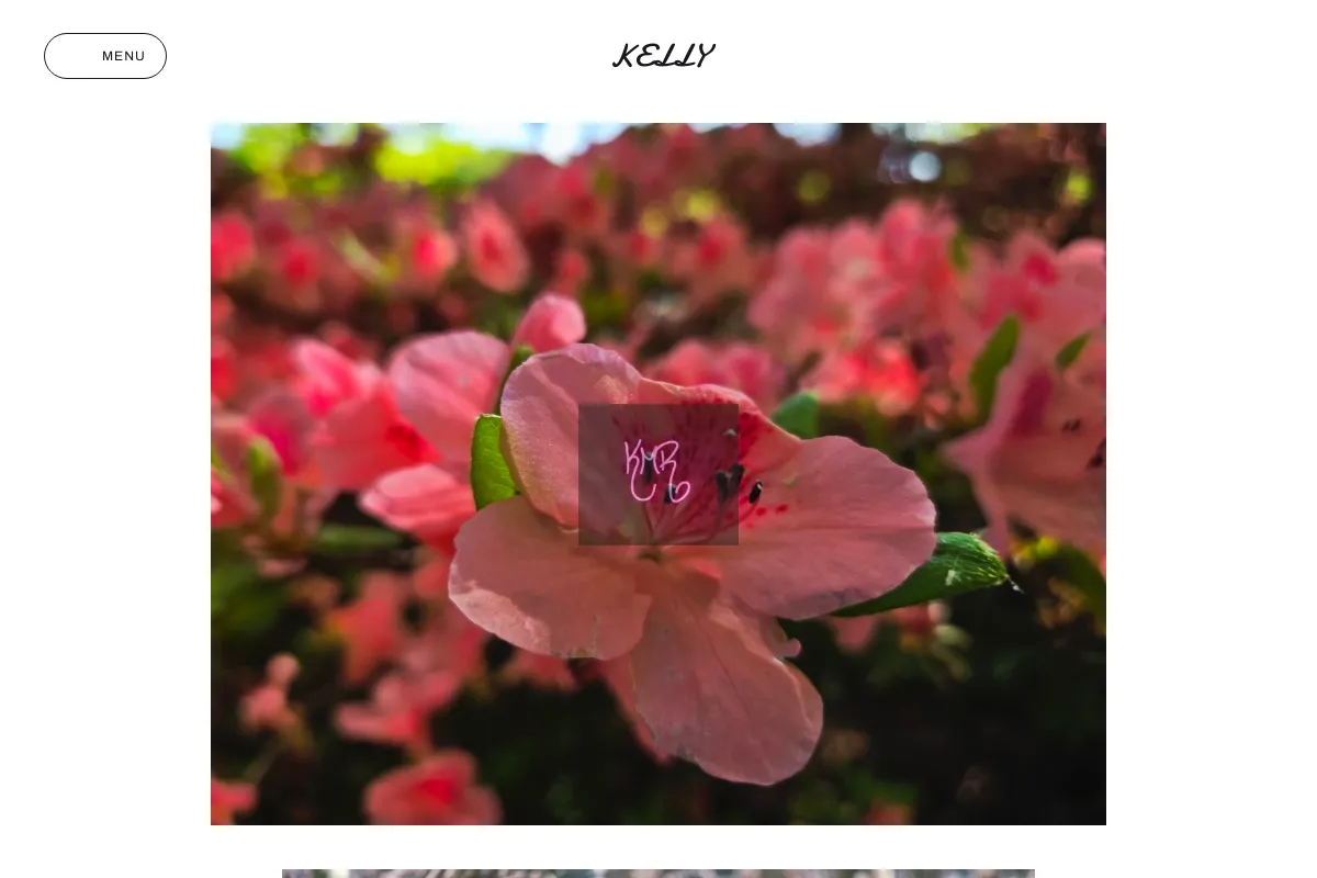 Kelly