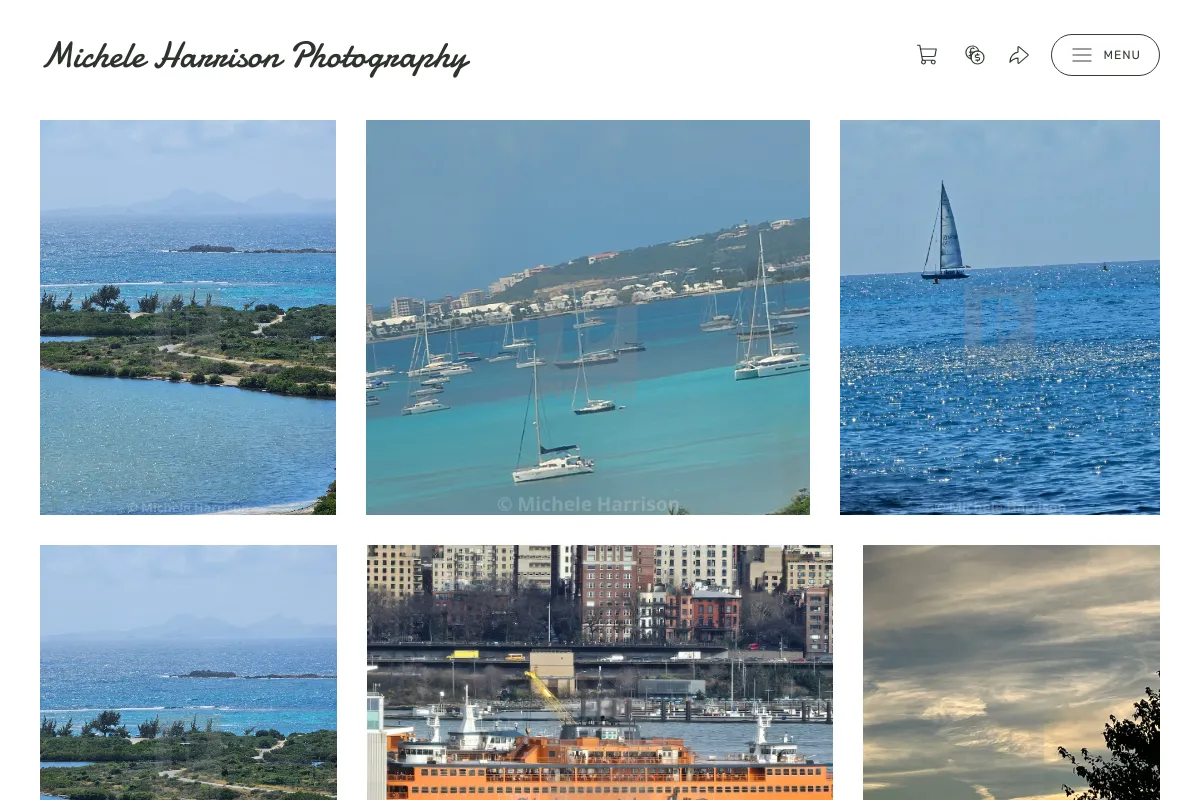 Michele Harrison Photography