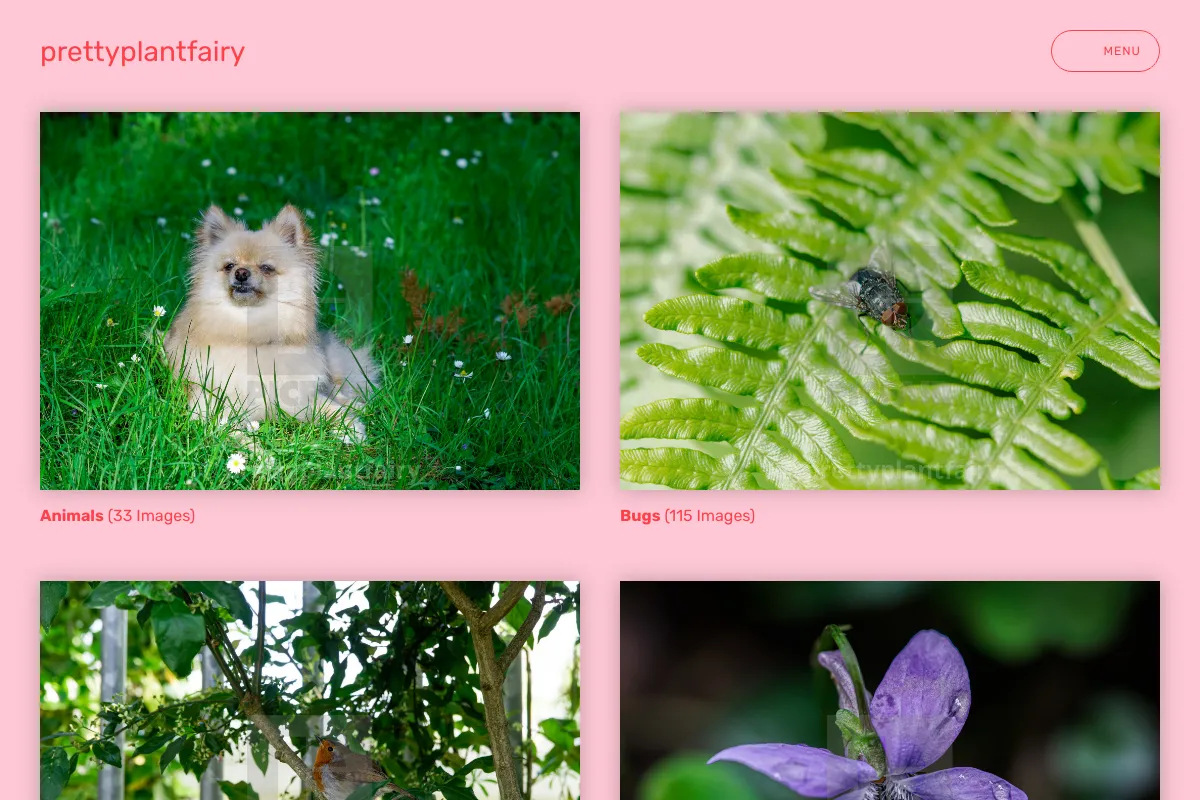 prettyplantfairy