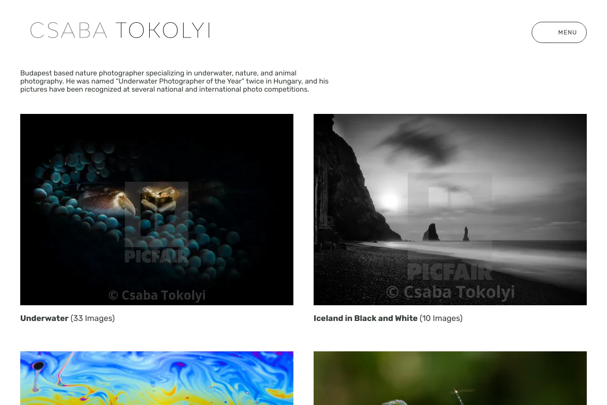Csaba Tokolyi