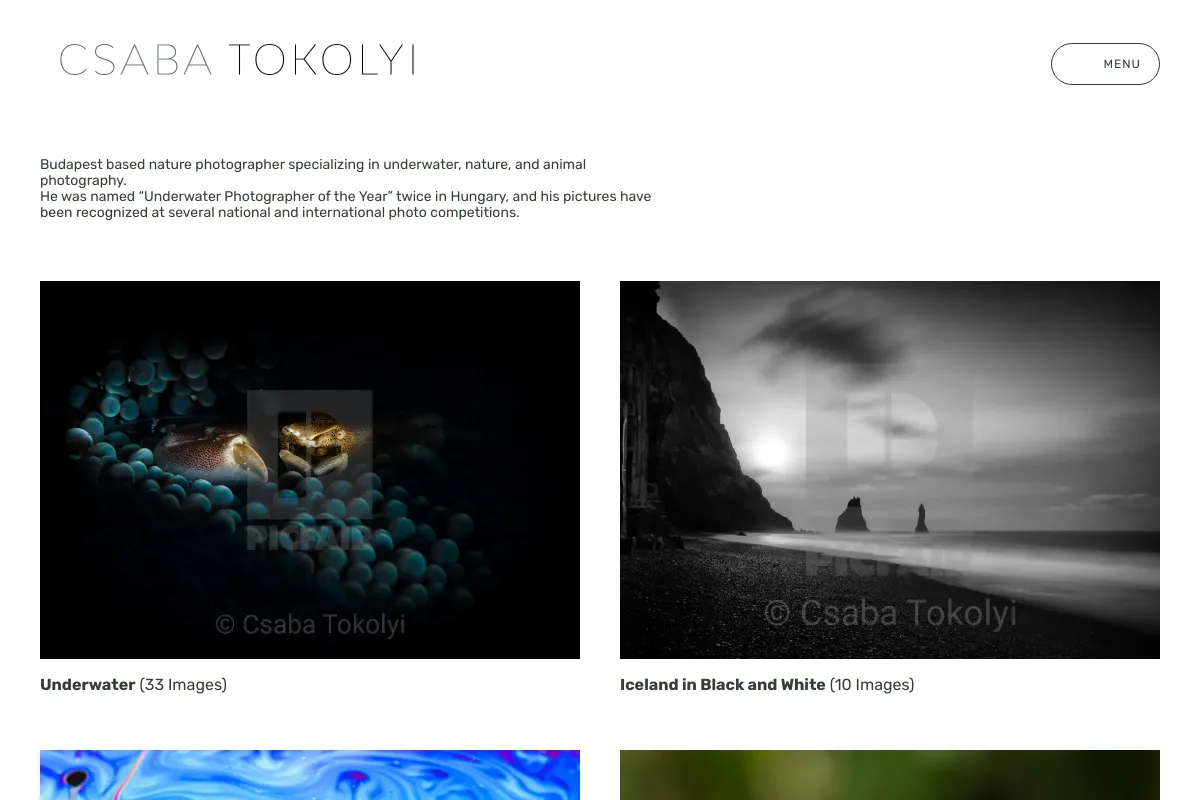 Csaba Tokolyi