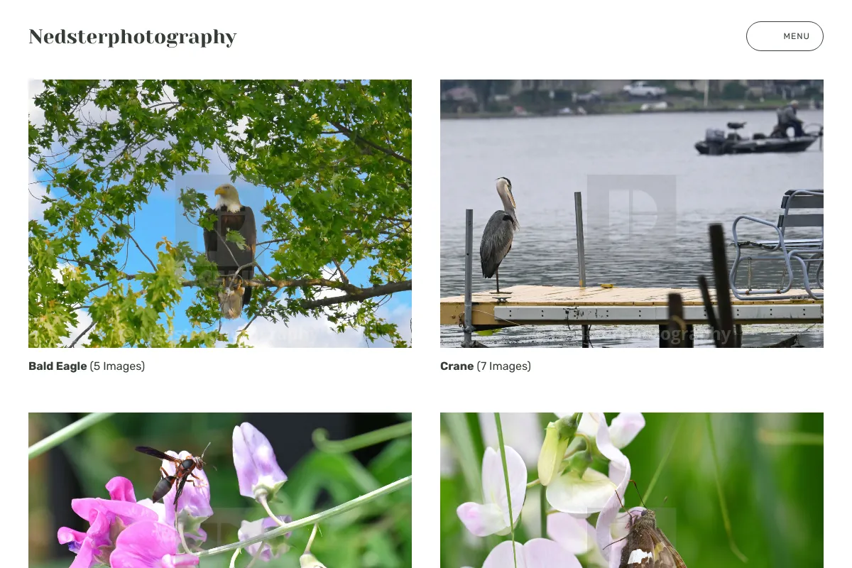 Nedsterphotography