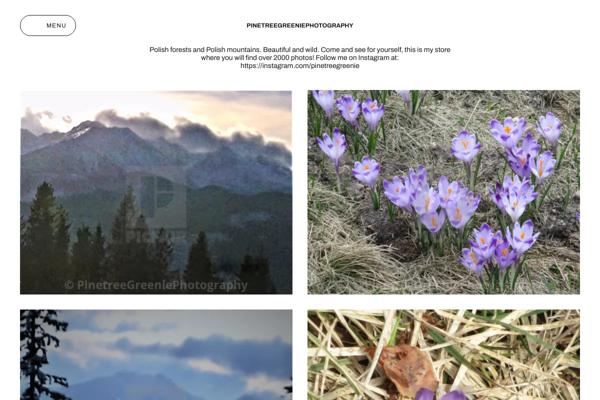 PinetreeGreeniePhotography