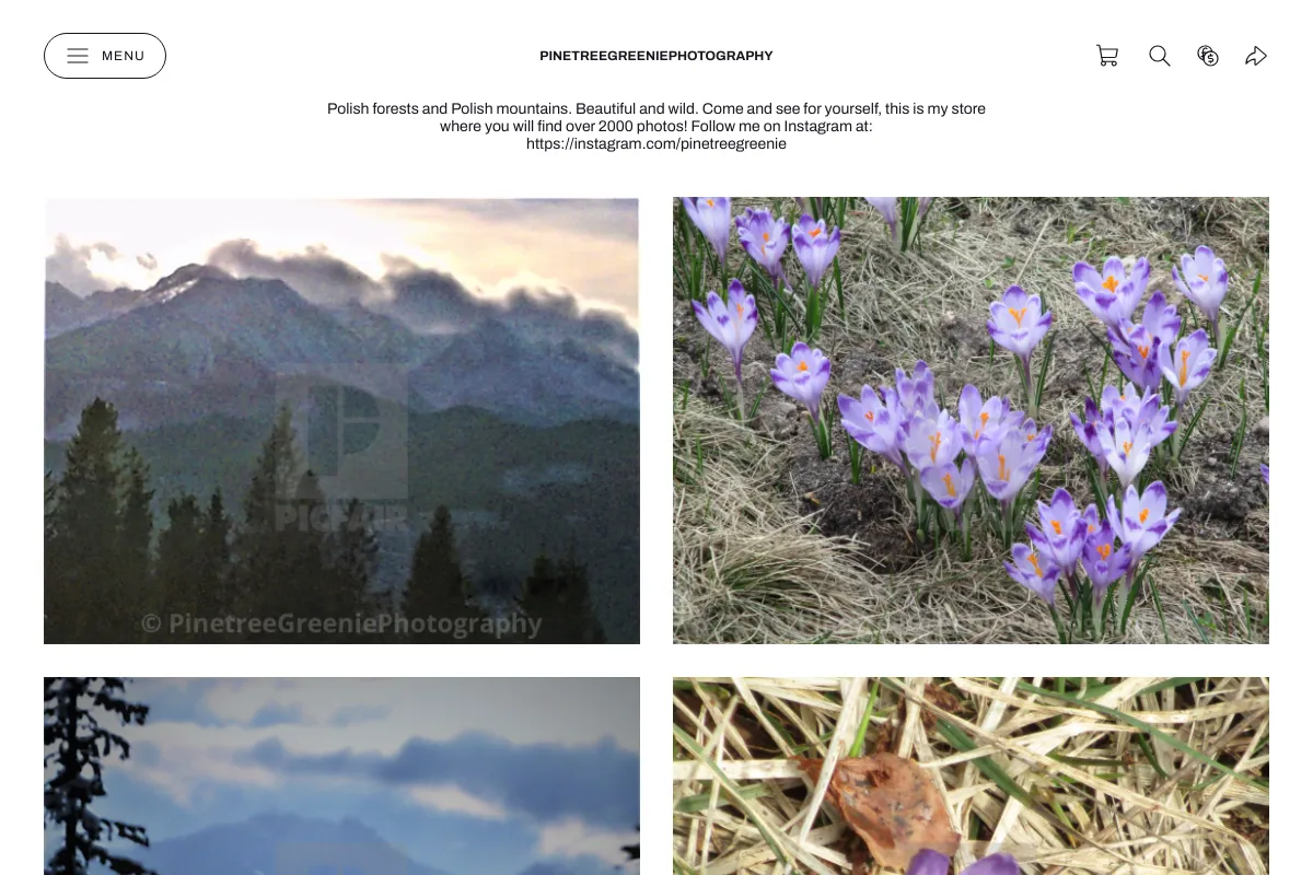 PinetreeGreeniePhotography