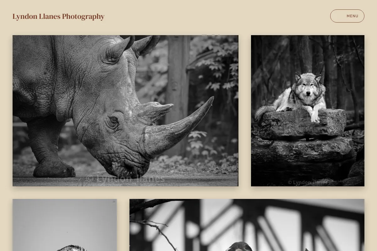 Lyndon Llanes Photography