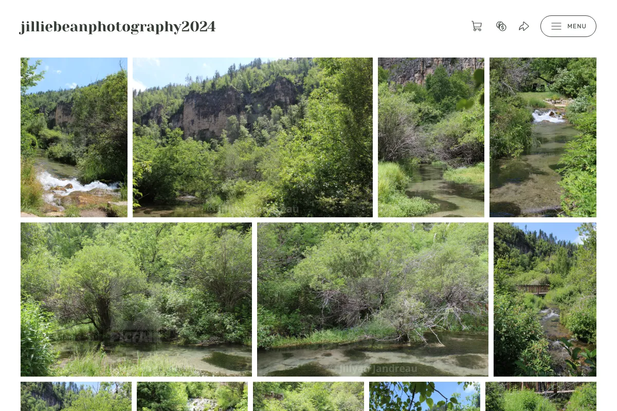 jilliebeanphotography2024